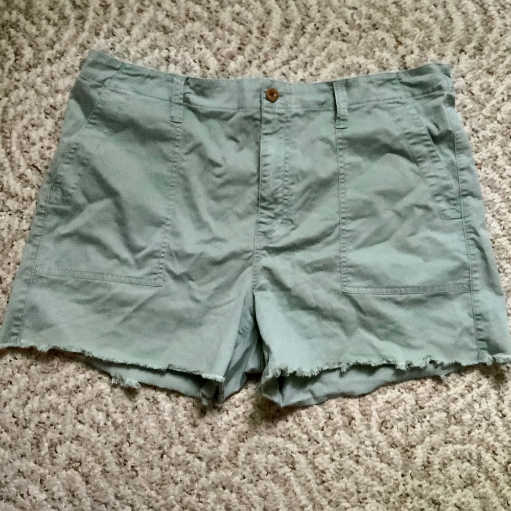 Madewell shorts slightly stretchy.  (3F)